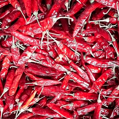 Red Chilli Exporters In Yemen